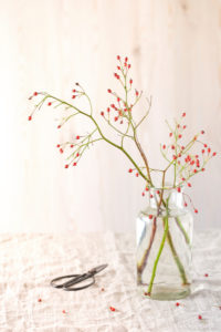 Herbstliches Stillleben mit Hagebutten Zweigen in einer schlichten Glasvase Herbstliches Stillleben mit Hagebutten Zweigen in einer schlichten Glasvase